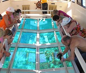 Private Half-Day Glass Bottom Boat Hurghada – Explore the Red Sea Without Getting Wet