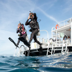 Daily Scuba Diving Boat Trip Hurghada - Certified Divers